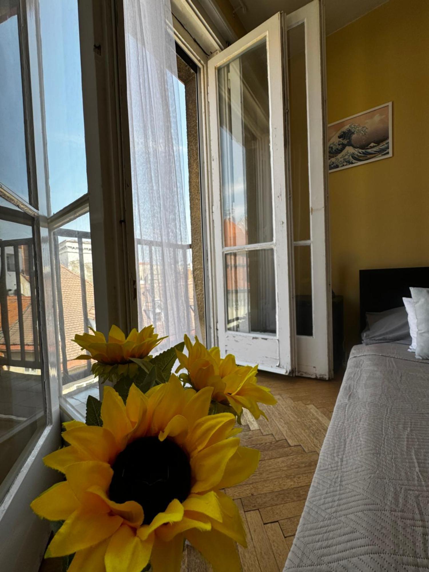 Extralarge Queen Room In The Heart Of Bratislava With Terrace Buitenkant foto